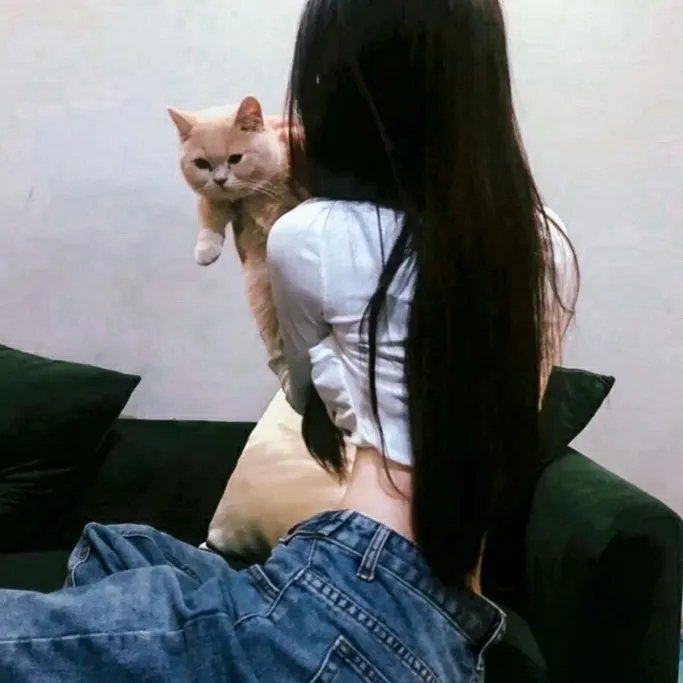 迪克·特蕾西